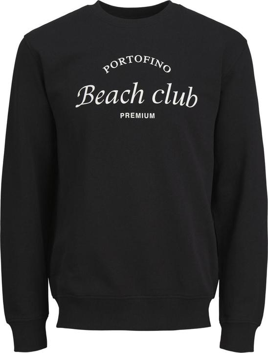 Actual product image Jack & Jones Printed sweatshirt with round neck Sweatshirt with round neck (L)