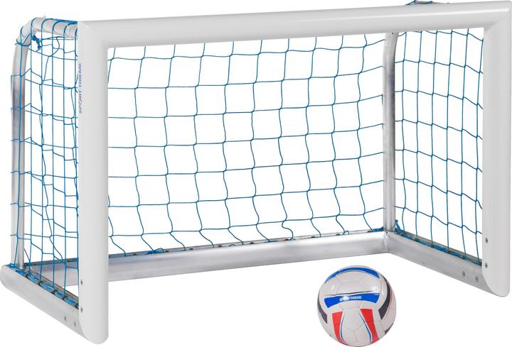 Sport-Thieme Aluminum Mini Training Gate Professional Compact, White Powder Coated