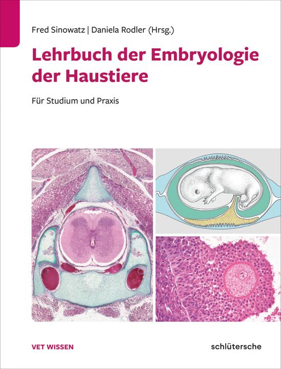 Actual product image Lehrbuch der Embryologie der Haustiere (German, Fred/Rodler, Sinowatz, 2024)