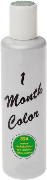 Actual product image ARTISTIQUE 1 Month Color 301 (301 Black)