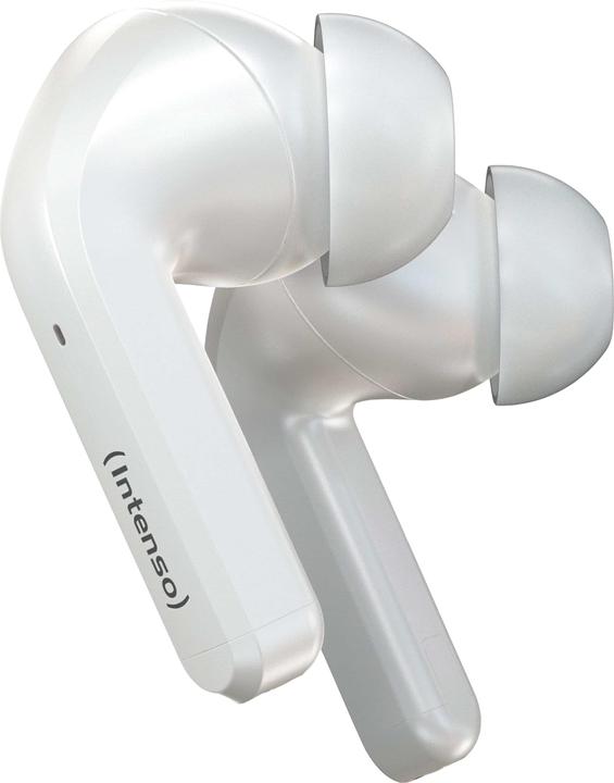 Immagine prodotto Intenso Germogli bianchi T302A (ANC, 2 h, Cablato)
