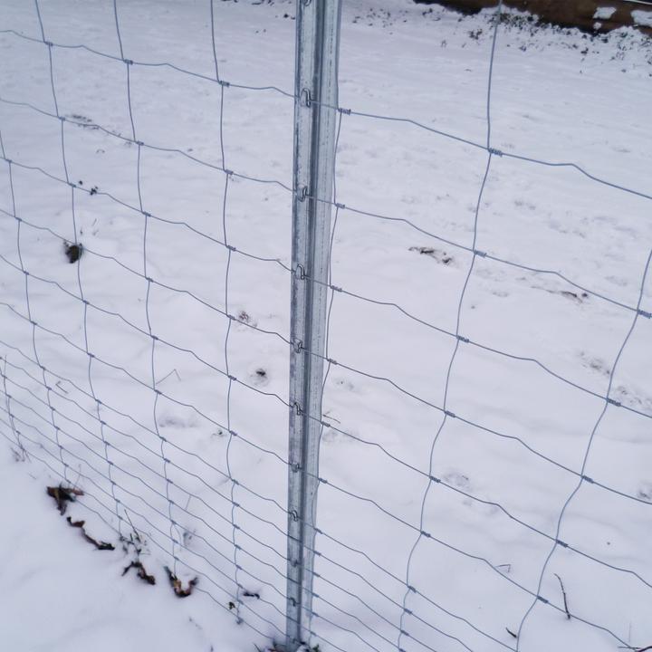 Immagine prodotto Aquagart 30 Z-Profil Zaunpfosten 2m Wildzaun Weidezaun Forstzaun
