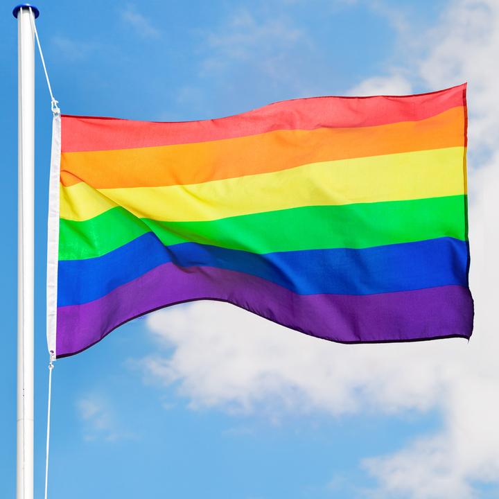 Image du produit tectake Mât avec drapeau
