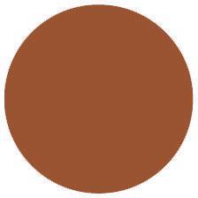 Cailyn lipstick No. 25 (Brown)