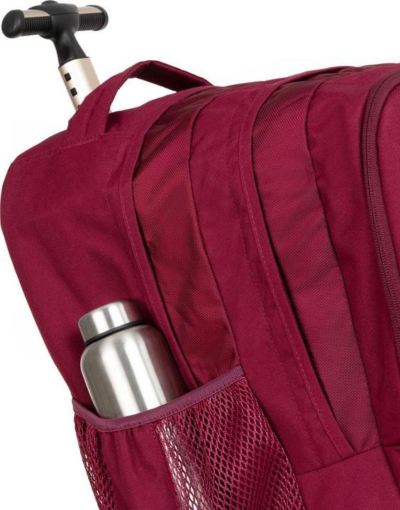 Actual product image JanSport Driver 8 russet red (36 l)