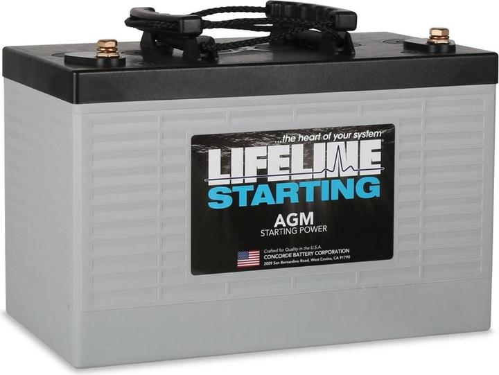 Immagine prodotto Lifeline GPL-3100T AGM (12 V, 100 Ah)