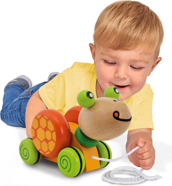 Actual product image Eichhorn Turtle