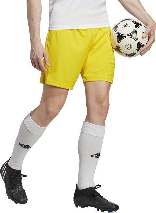 Immagine prodotto adidas Pantaloncini Entrada 22 Uomo Giallo IC7404 (XL) (XL)