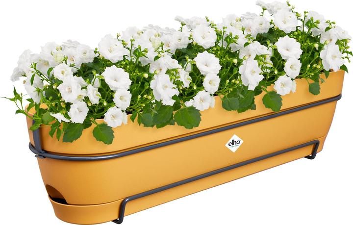 Actual product image Elho Vibia Campana Balcony Box Allin1 (26 cm)