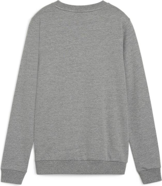 Actual product image Puma teamGOAL Casuals Crew Neck Sweat Wmn (M)