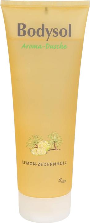 Produktbild Omega Pharma Bodysol Aroma-Dusche Duschgel Lemon-Zedernholz, 250 ml Gel (250 ml)