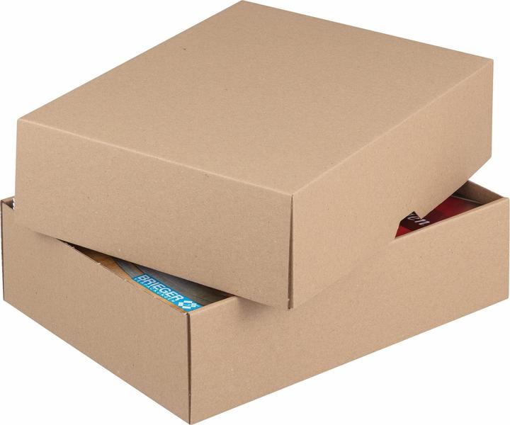 Immagine prodotto Brieger Scatola di cartone (0,5 x 39,5 x 42,5 cm, 1 x)