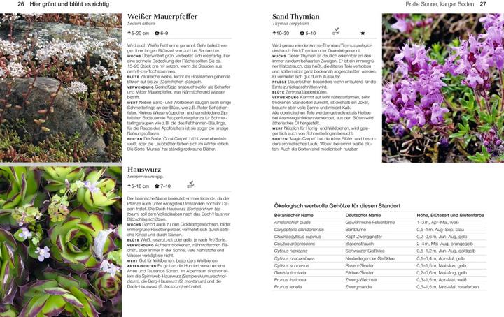 Produktbild Welche Pflanze passt wohin im Naturgarten? (Deutsch, Paula Polak, 2020)
