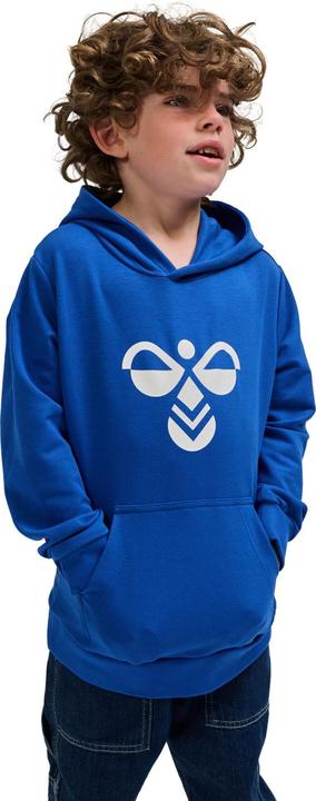 Image du produit hummel hmlCUATRO HOODIE (116)