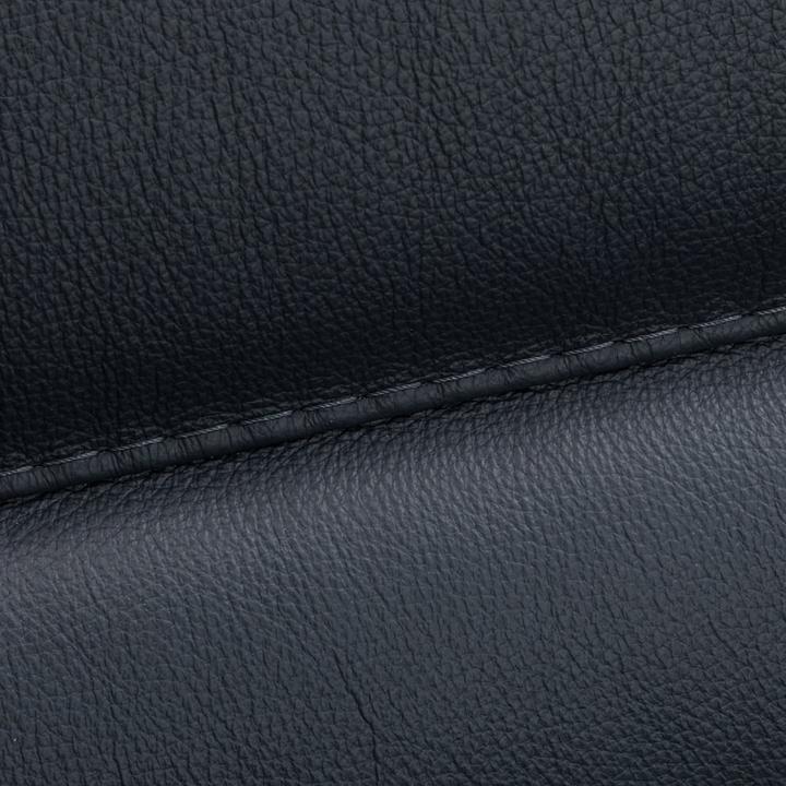 Actual product image pfister Ceasar (2 person sofa)