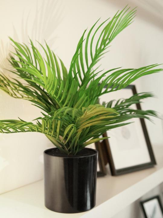 Produktbild Europalms Goldfruchtpalme, Kunstpflanze, 46 cm (46 cm)