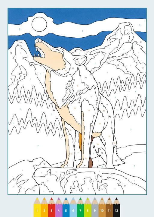 Image du produit Ravensburger Album de coloriage Malen nach Zahlen
