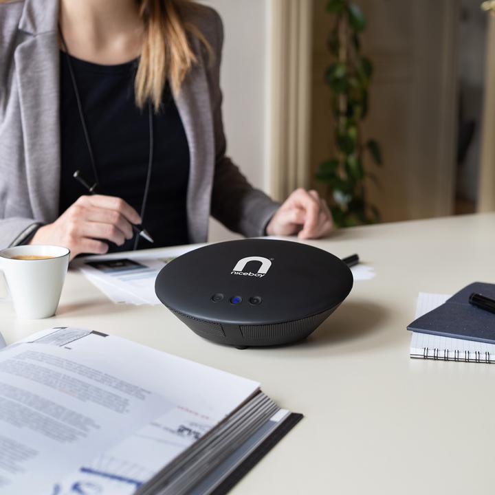 Actual product image Niceboy VOICE Call BT