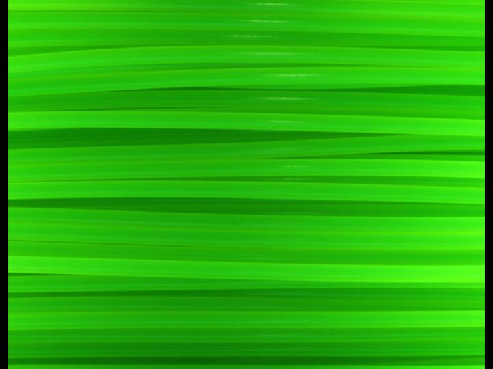 Actual product image FlashForge Filament (PLA, 1.75 mm, 500 g, Green)