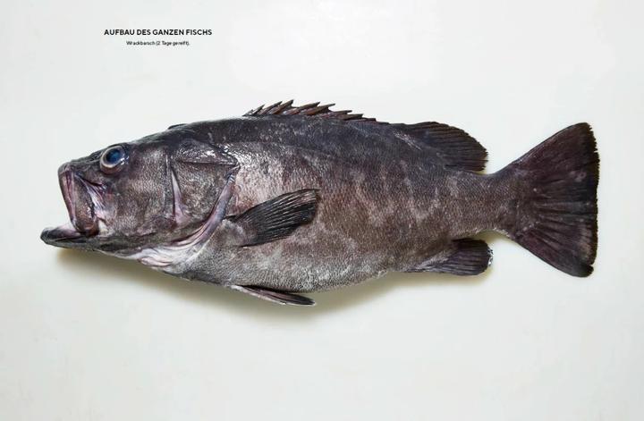 Produktbild Der ganze Fisch: Rezepte von der Flosse bis zur Kieme (Deutsch, Josh Niland, 2021)