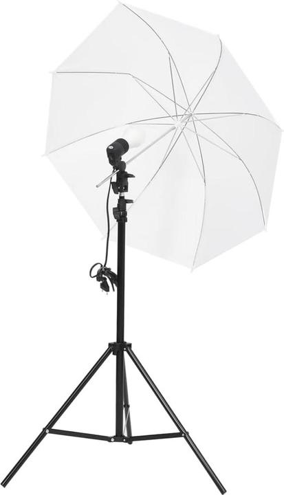 Image du produit VidaXL Remi (300 cm, 230 cm)