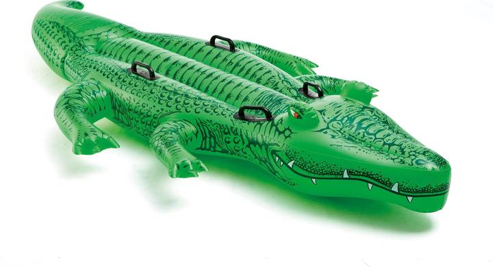 Actual product image Intex Giant Gator