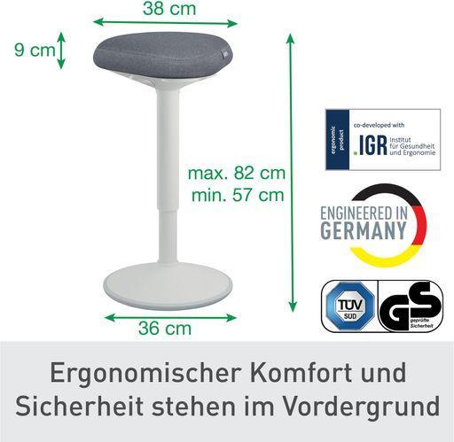 Immagine prodotto Leitz Ergo Active