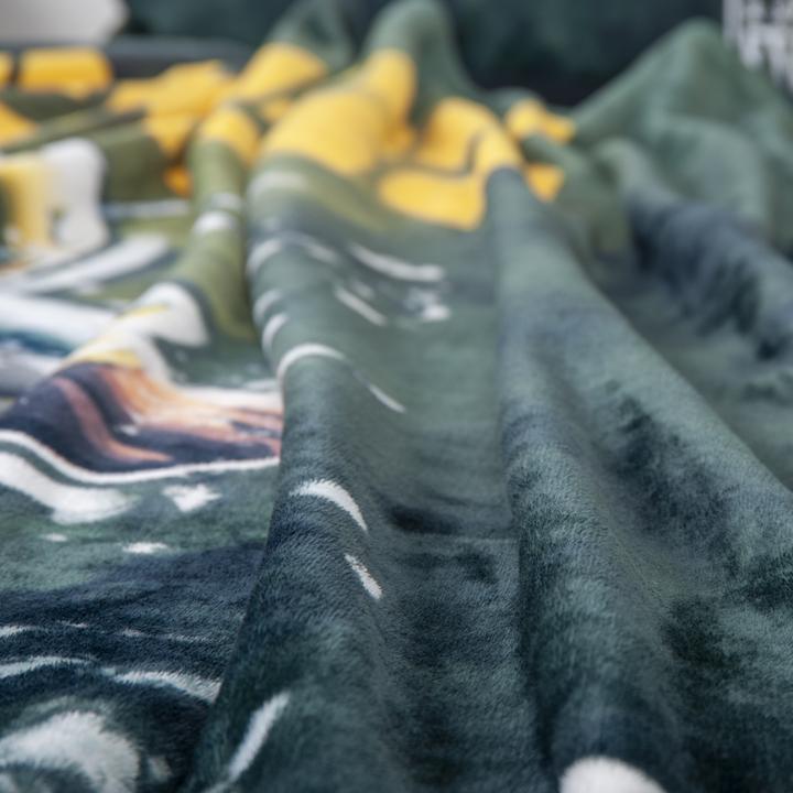 Actual product image NFL Packers Wellsoft blanket (150 x 200 cm)