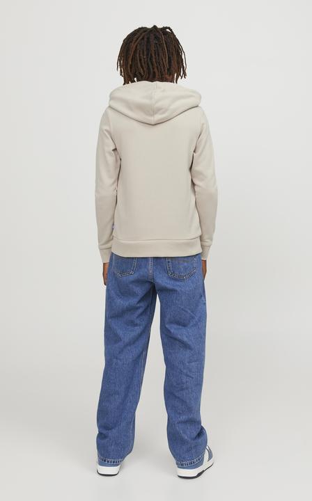 Image du produit Jack & Jones Sweat à capuche garçon (164)