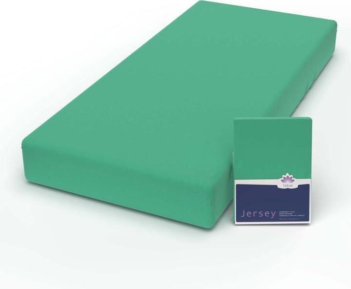 Immagine prodotto Lotus Bettwaren Jersey Fix Comfort (90 x 200 cm)