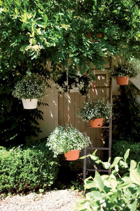 Produktbild Elho Green Basics Hängeampel (27.80 cm)
