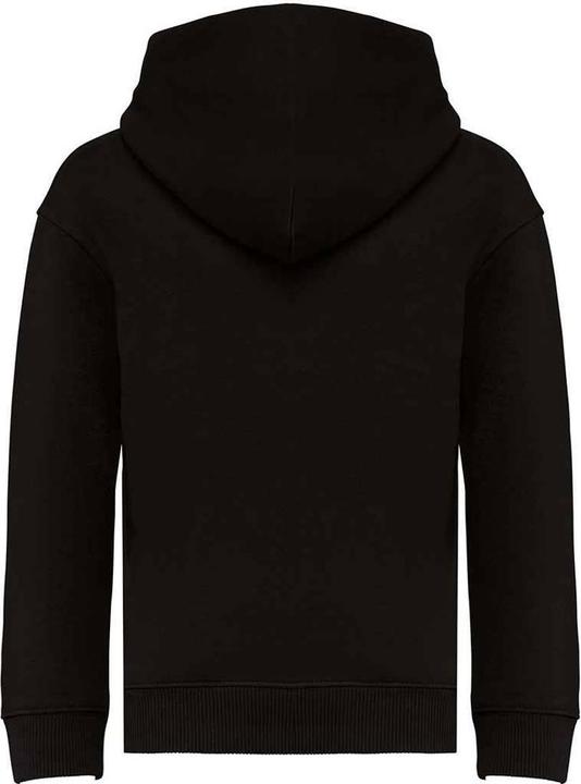 Actual product image Native Spirit Childrens/Kids Hoodie (110, 116, 115 A)