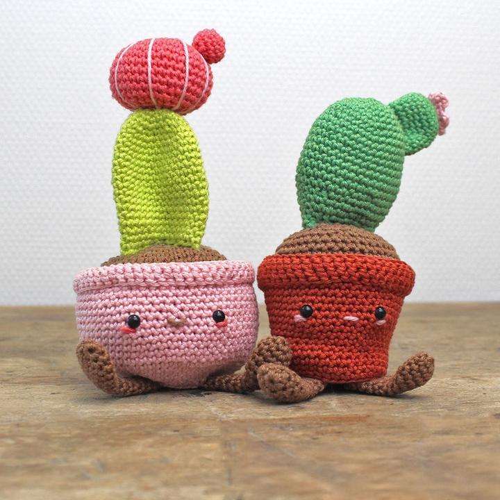 Actual product image Hardicraft Scheibenkaktus - Häkelset