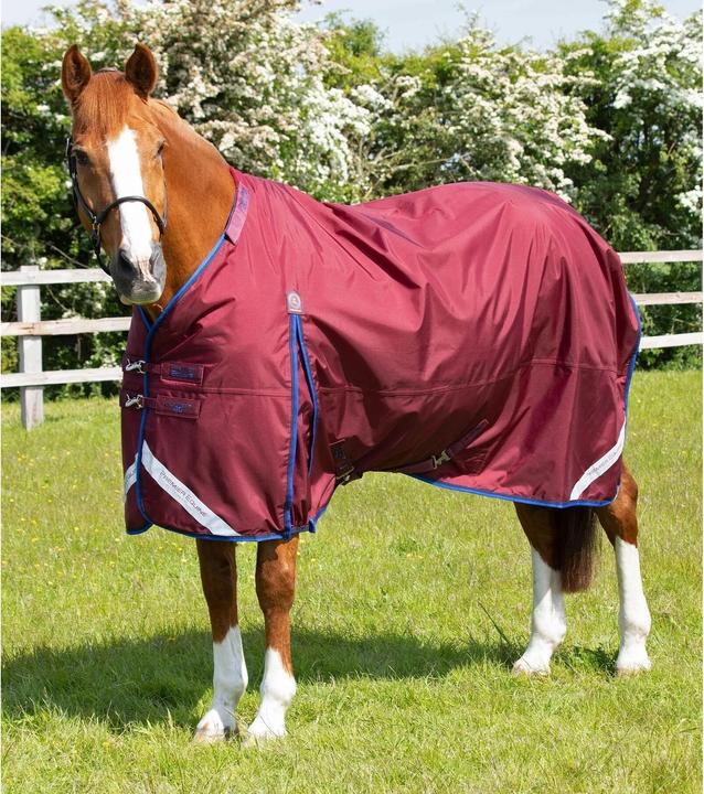 Immagine prodotto Premier Equine Buster 40g (191 cm)
