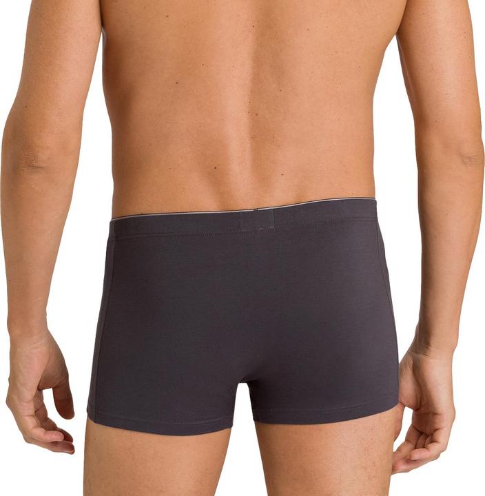 Actual product image Hanro Cotton Superior Pant (XXL, Single pack)