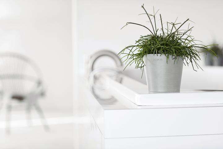 Image du produit Ecopots Amsterdam Mini (8 cm)