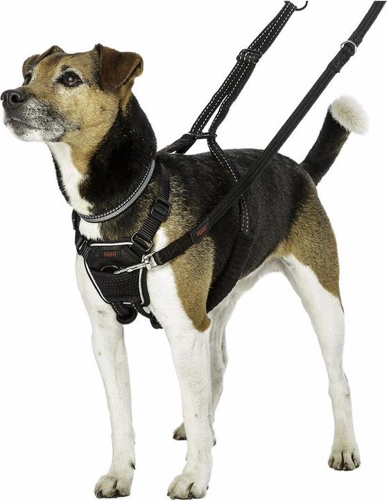 Image du produit Company of Animals Harnais Halti No Pull Antizug S (S, Chien, Général)