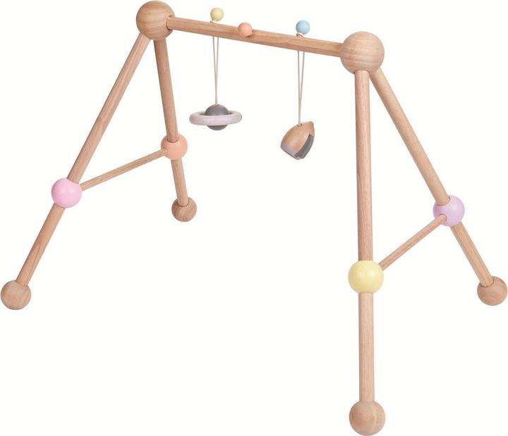 Actual product image Plantoys Baby Gym