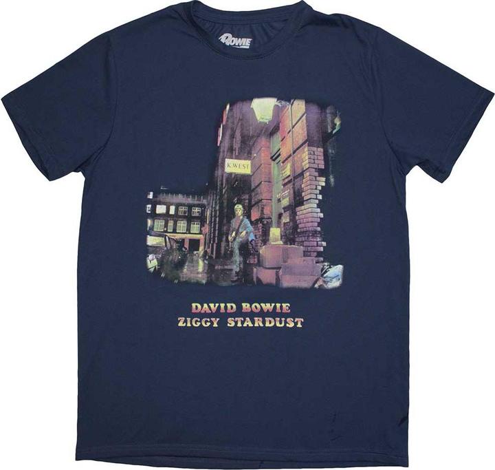 David Bowie Ziggy Stardust DB