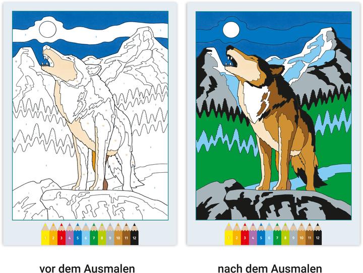 Image du produit Ravensburger Album de coloriage Malen nach Zahlen