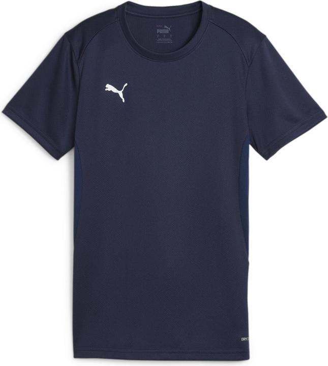 Puma teamGOAL Jersey Wmn