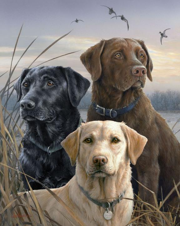 Immagine prodotto Figured'Art Dipingere con i Numeri - Trio di Labrador
