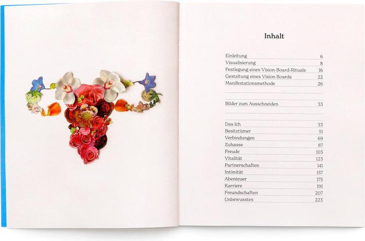 Produktbild Gestalte dein Vision Board (Deutsch, CanDace Johnson, Birgit van der Avoort, 2024)