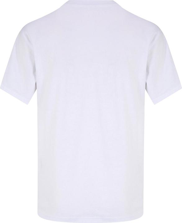 Actual product image FILA Bari (M)