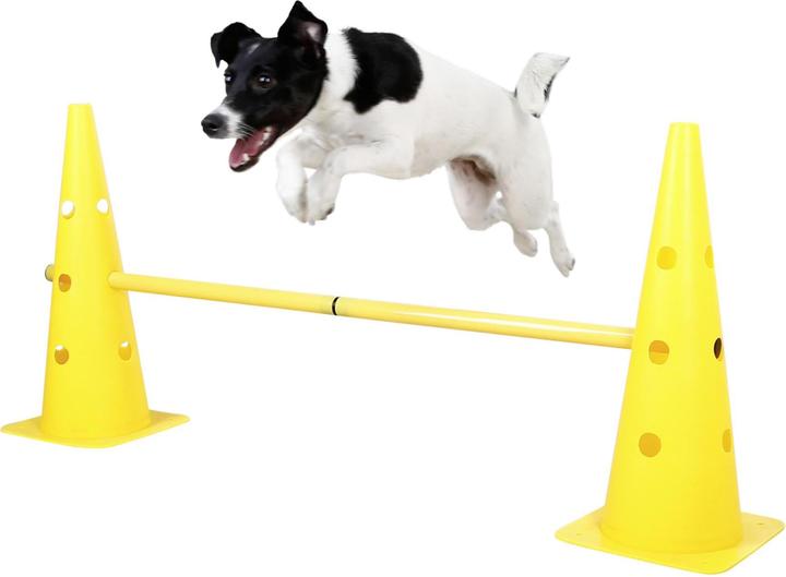 Produktbild Kerbl Agility Pylonen-Hürden Set (One Size, Agility)