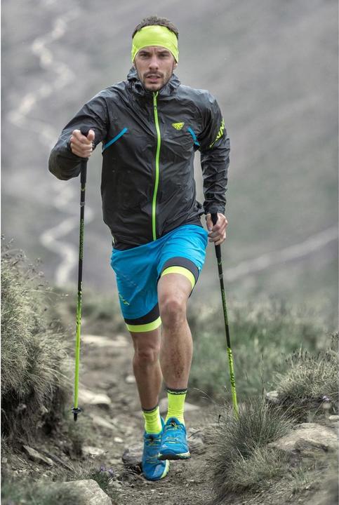 Actual product image Dynafit Vertical Pro poles (110 cm)