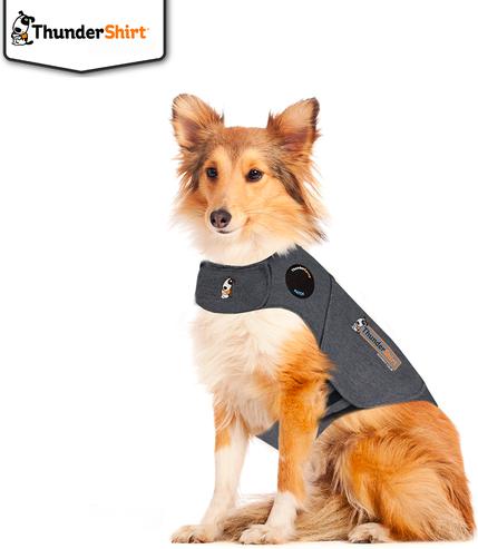 Actual product image Tommi CZ ThunderShirt - Compression shirt S - (972891) (S, Dog vest)