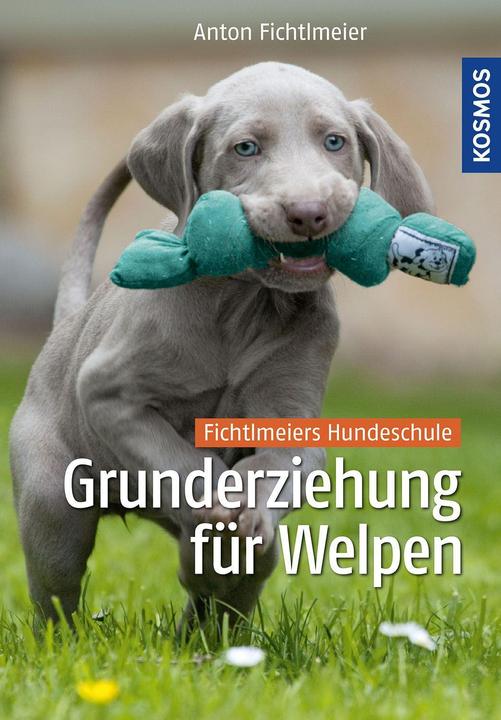 Image du produit Kosmos Grunderziehung für Welpen (Allemand, Anton Fichtlmeier, 2014)
