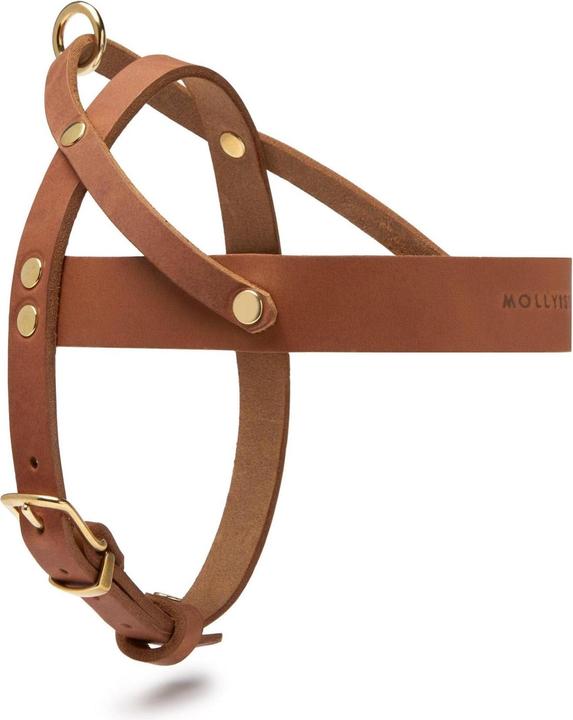 Immagine prodotto Molly & Stitch Pettorina per cani in pelle di burro (XXS, Cane, Generale)