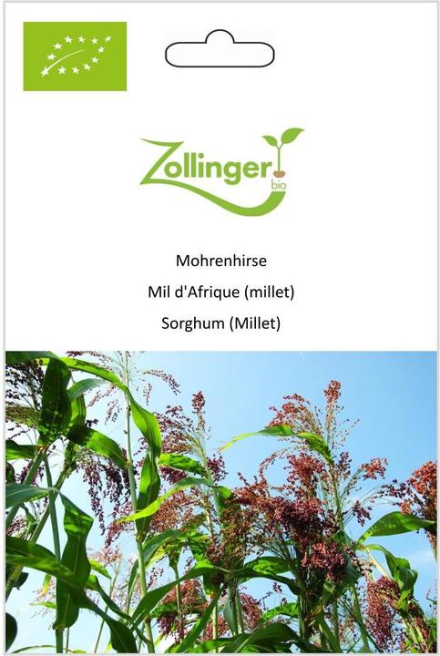 Immagine prodotto Zollinger Bio Sorgo (Semi di piante)